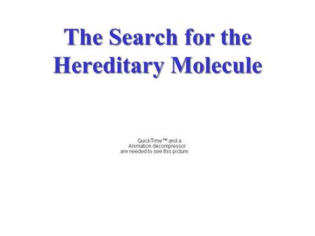 The Search for the Hereditary Molecule. By 1920, the Chromosomal Theory of Inheritance and the chemical composition of chromosomes have been revealed.