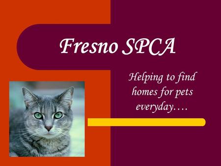 Fresno SPCA Helping to find homes for pets everyday….