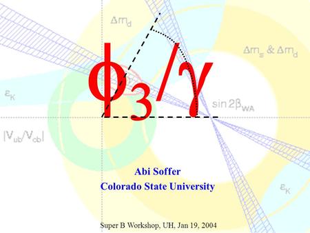    Abi Soffer Colorado State University Super B Workshop, UH, Jan 19, 2004.