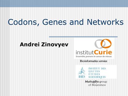 Codons, Genes and Networks Bioinformatics service group of M.Gromov Andrei Zinovyev.