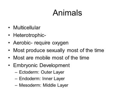 Animals Multicellular Heterotrophic- Aerobic- require oxygen Most produce sexually most of the time Most are mobile most of the time Embryonic Development.