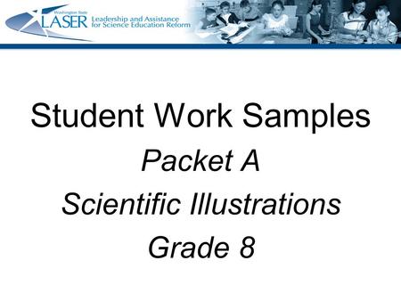 Student Work Samples Packet A Scientific Illustrations Grade 8.