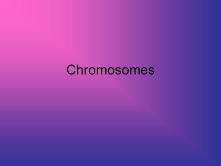 Chromosomes.