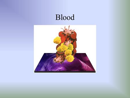 Blood. Blood is a specialized connective tissue: cells are suspended in liquid matrix called plasma Functions Transport – substances to and from cells.