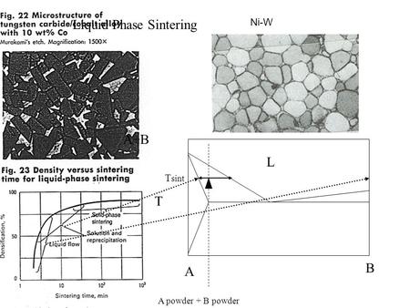 Ni-W Liquid Phase Sintering T A B A powder + B powder L T sint A+B.