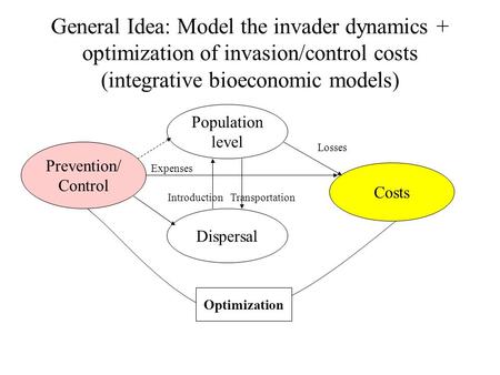 General Idea: Model the invader dynamics + optimization of invasion/control costs (integrative bioeconomic models) Population level Dispersal IntroductionTransportation.