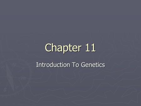 Chapter 11 Introduction To Genetics. History ► Gregor Mendel…1882 ► Austrian monk ► In charge of the monastery’s garden ► Experimented with pea plants.