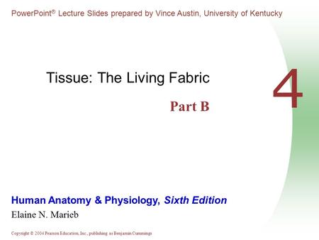 Copyright © 2004 Pearson Education, Inc., publishing as Benjamin Cummings Human Anatomy & Physiology, Sixth Edition Elaine N. Marieb PowerPoint ® Lecture.