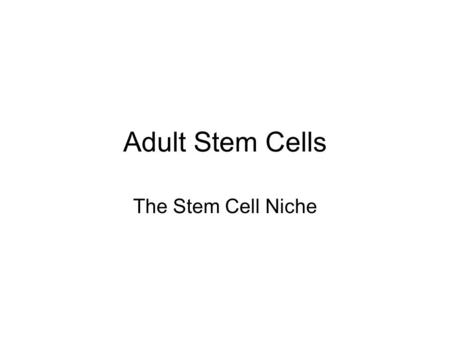 Adult Stem Cells The Stem Cell Niche. Stem Cell Niche- Defined A stem cell niche is defined as ‘a specific location in a tissue where stem cells can reside.