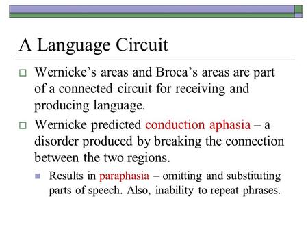 A Language Circuit  Wernicke’s areas and Broca’s areas are part of a connected circuit for receiving and producing language.  Wernicke predicted conduction.