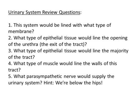 Urinary System Review Questions: 1