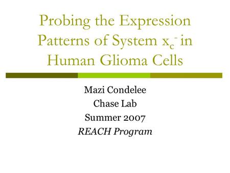 Probing the Expression Patterns of System x c - in Human Glioma Cells Mazi Condelee Chase Lab Summer 2007 REACH Program.