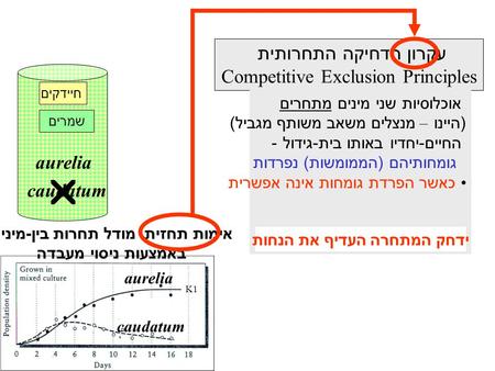 K1 אימות תחזית מודל תחרות בין - מינית באמצעות ניסוי מעבדה עקרון הדחיקה התחרותית Competitive Exclusion Principles אוכלוסיות שני מינים מתחרים ( היינו – מנצלים.