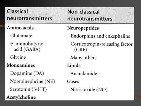 Catecholamines Stored in vesicles Release tightly controlled Presynaptic receptors Activators include NE (  2 ), DA (D 2 ), Ach, prostaglandins, other.