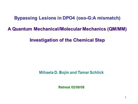 1 Bypassing Lesions in DPO4 (oxo-G:A mismatch) A Quantum Mechanical/Molecular Mechanics (QM/MM) Investigation of the Chemical Step Mihaela D. Bojin and.