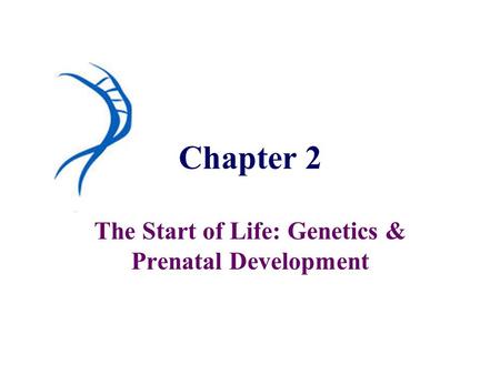 The Start of Life: Genetics & Prenatal Development