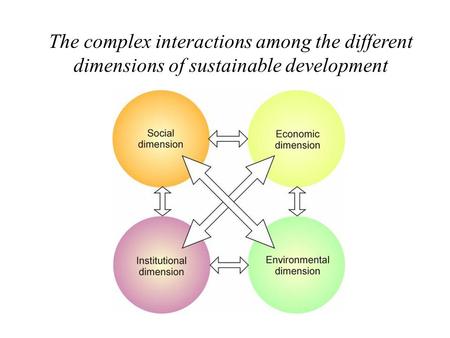 The complex interactions among the different dimensions of sustainable development.