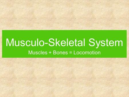 Musculo-Skeletal System Muscles + Bones = Locomotion.