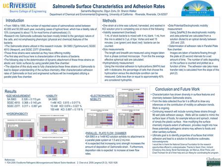 Salmonella Surface Characteristics and Adhesion Rates Samantha Begnoche, Olgun Zorlu, Dr. Sharon Walker Department of Chemical and Environmental Engineering,