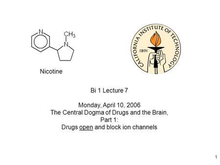 1 Bi 1 Lecture 7 Monday, April 10, 2006 The Central Dogma of Drugs and the Brain, Part 1: Drugs open and block ion channels Nicotine.