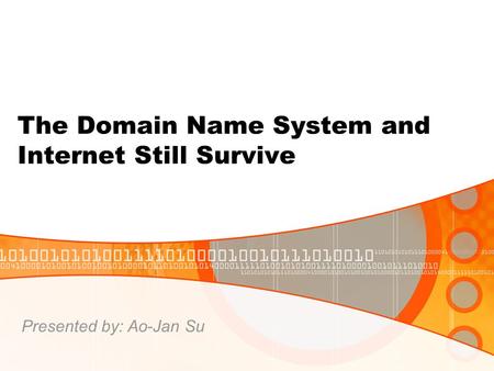 The Domain Name System and Internet Still Survive Presented by: Ao-Jan Su.