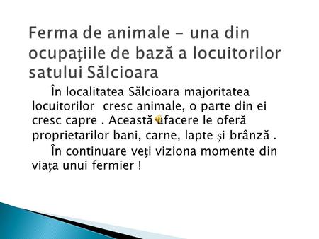 În localitatea Sălcioara majoritatea locuitorilor cresc animale, o parte din ei cresc capre. Această afacere le oferă proprietarilor bani, carne, lapte.