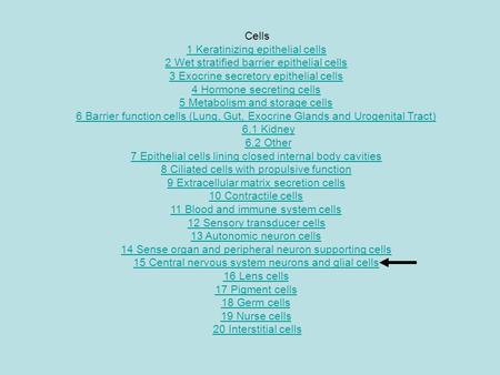 1 Keratinizing epithelial cells