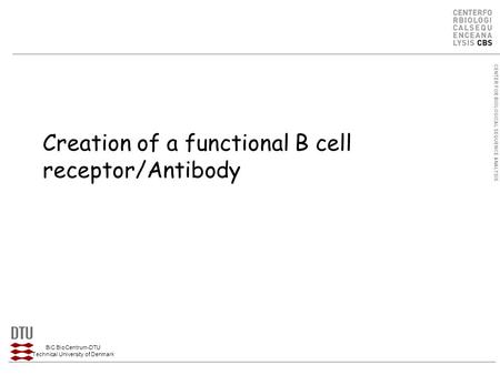 CENTER FOR BIOLOGICAL SEQUENCE ANALYSIS BiC BioCentrum-DTU Technical University of Denmark Creation of a functional B cell receptor/Antibody.