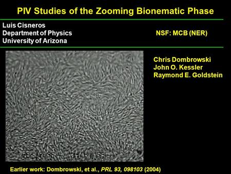 PIV Studies of the Zooming Bionematic Phase Luis Cisneros Department of Physics University of Arizona NSF: MCB (NER) Earlier work: Dombrowski, et al.,