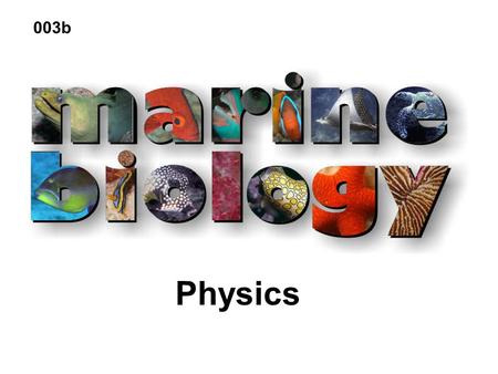 Physics 003b. Seawater Physics Temperature Light Sound Buoyancy Dissolved gasses Waves Tides.