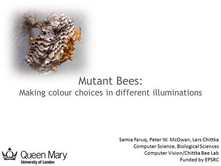 Mutant Bees: Making colour choices in different illuminations Samia Faruq, Peter W. McOwan, Lars Chittka Computer Science, Biological Sciences Computer.