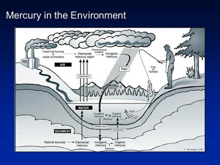 Mercury in the Environment. What is Mercury (Hg) Hg is a silvery, liquid metal at room temperature heavy metals. Like water, Hg can evaporate and become.