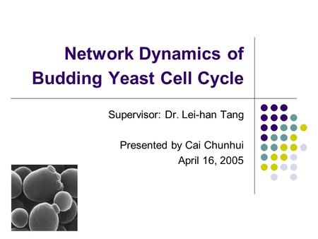 Network Dynamics of Budding Yeast Cell Cycle Supervisor: Dr. Lei-han Tang Presented by Cai Chunhui April 16, 2005.