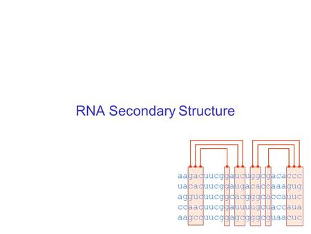 RNA Secondary Structure aagacuucggaucuggcgacaccc uacacuucggaugacaccaaagug aggucuucggcacgggcaccauuc ccaacuucggauuuugcuaccaua aagccuucggagcgggcguaacuc.