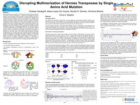 Hermes transposase is a hexamer of three heterodimers native to Musca domestica 1. The function of hermes transposase is to catalyze DNA breakage and rejoining.