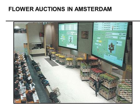 FLOWER AUCTIONS IN AMSTERDAM. Ad Auctions March 7, 2008.