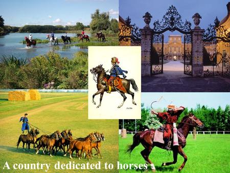 Cross Country International - Lipizzan ride in Hungary 1 A country dedicated to horses.