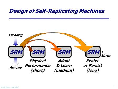 Endy, BIOS, June 2004 1 Atrophy time SRM Physical Performance (short) SRM Adapt & Learn (medium) SRM Evolve or Persist (long) SRM Encoding Design of Self-Replicating.