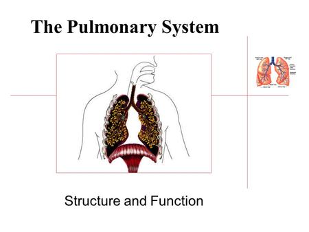 Structure and Function