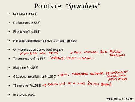 Points re: “Spandrels” Spandrels (p.581) Dr. Pangloss (p.583) First target? (p.583) Natural selection can’t drive extinction (p.584) Only brake upon perfection?