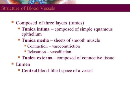 Structure of Blood Vessels