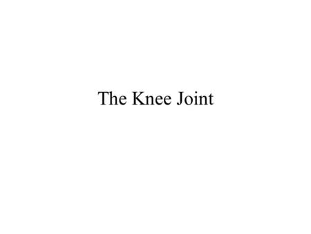 The Knee Joint.