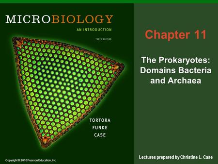 The Prokaryotes: Domains Bacteria and Archaea