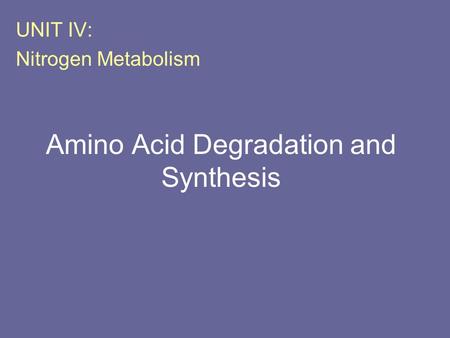 Amino Acid Degradation and Synthesis