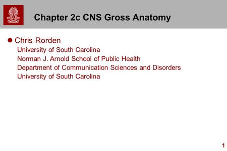 1 Chapter 2c CNS Gross Anatomy Chris Rorden University of South Carolina Norman J. Arnold School of Public Health Department of Communication Sciences.