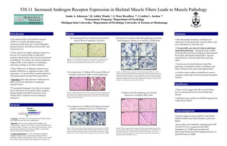 Jamie A. Johansen 1, D. Ashley Monks 3, S. Marc Breedlove 1,2, Cynthia L. Jordan 1,2 1 Neuroscience Program, 2 Department of Psychology Michigan State.