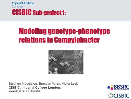 CISBIC Sub-project 1: Stephen Muggleton, Brendan Wren, Victor Lesk CISBIC, Imperial College London. www.imperial.ac.uk/cisbic Modeling genotype-phenotype.