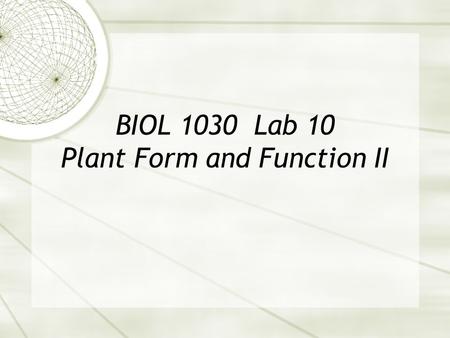 BIOL 1030 Lab 10 Plant Form and Function II. Question 1 Is this image a root or a shoot? Monocot or dicot?