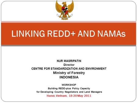 NUR MASRIPATIN Director CENTRE FOR STANDARDIZATION AND ENVIRONMENT Ministry of Forestry INDONESIA WORKSHOP Building REDD-plus Policy Capacity for Developing.