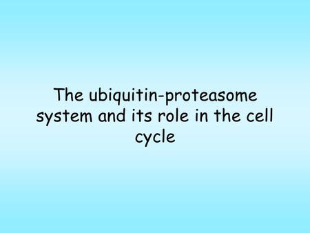 The ubiquitin-proteasome system and its role in the cell cycle